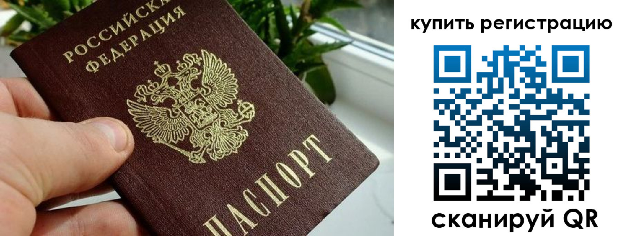 прописка гарантия в Малоярославце
